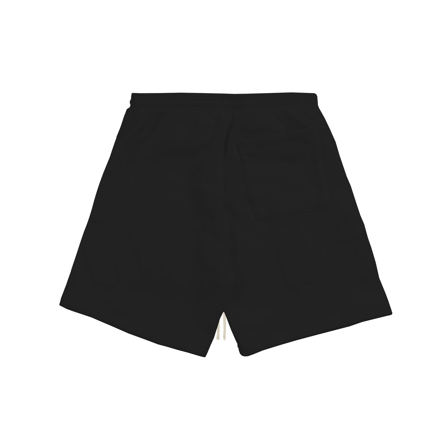 Posh Brain Mist Shorts