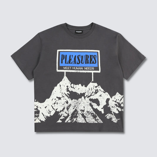 Pleasures Human Needs Heavyweight T-shirt